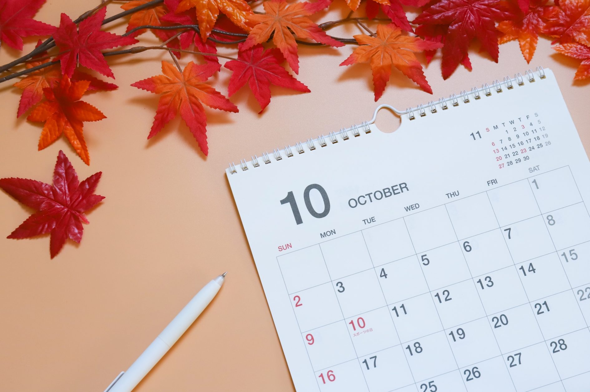 公務員10月採用、既卒は？